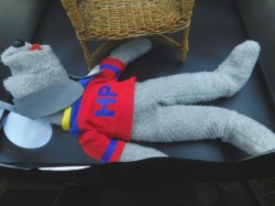 hush puppy a3
